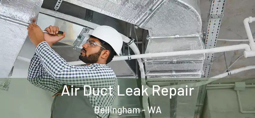Air Duct Leak Repair Bellingham - WA