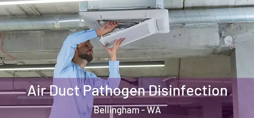 Air Duct Pathogen Disinfection Bellingham - WA