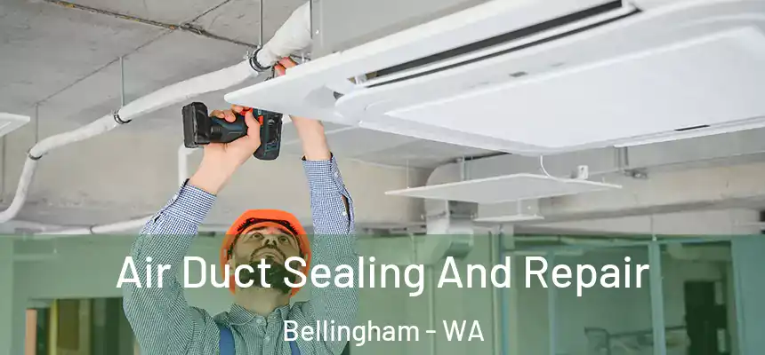 Air Duct Sealing And Repair Bellingham - WA