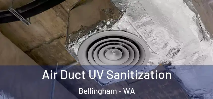  Air Duct UV Sanitization Bellingham - WA