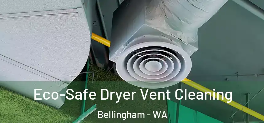  Eco-Safe Dryer Vent Cleaning Bellingham - WA