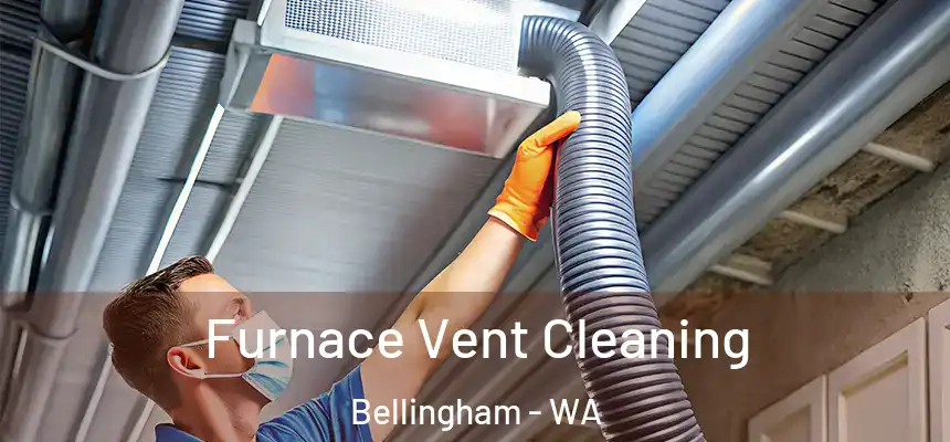 Furnace Vent Cleaning Bellingham - WA