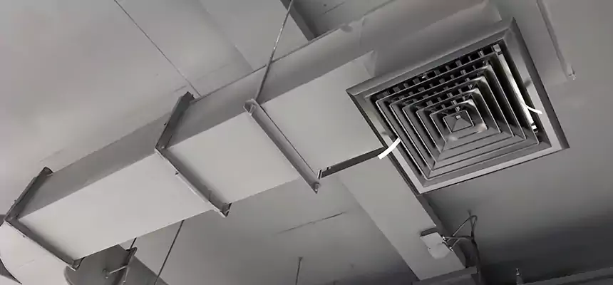 Restorative Allergy Relief Vent Cleaning – Coil, Blower & Housing Detail in Bellingham