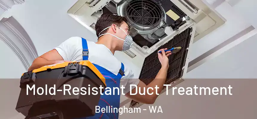 Mold-Resistant Duct Treatment Bellingham - WA