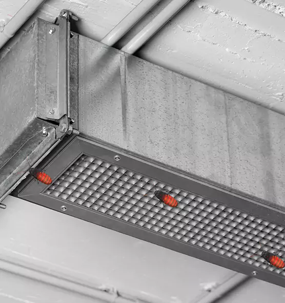 About Air Duct Cockroach Removal in Bellingham, WA