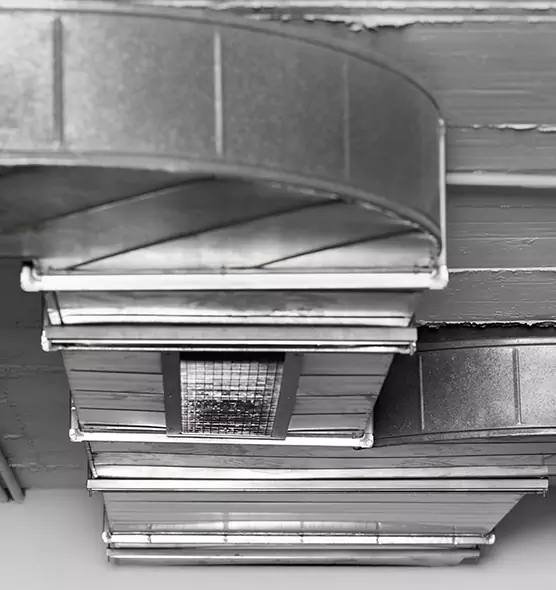 Professional Air Duct Pet Hair Removal in Bellingham, WA