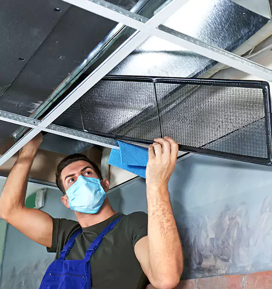 Professional Air Duct Pollen Cleaning in Bellingham, WA