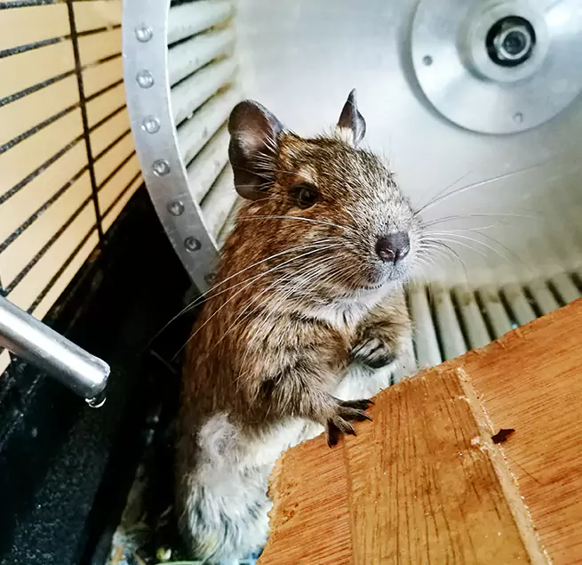 Why Homeowners & Businesses Trust Us Bellingham, WA?