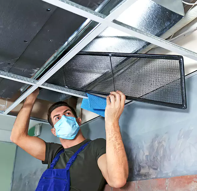 Why Homeowners Businesses Trust Us in Bellingham, WA