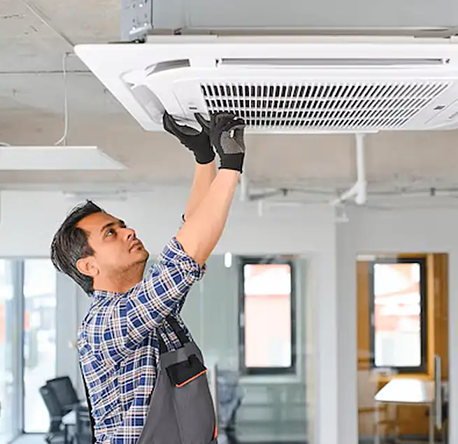 Why Homeowners & Businesses Trust Us in Bellingham, WA?