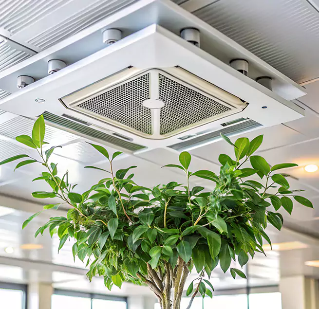 Why Homeowners & Businesses Trust Us in Bellingham, WA