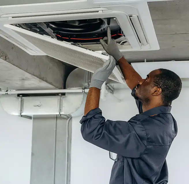 Why Homeowners & Businesses Trust Us in Bellingham, WA?