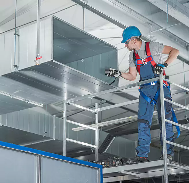 Why Homeowners Businesses Trust Us in Bellingham, WA