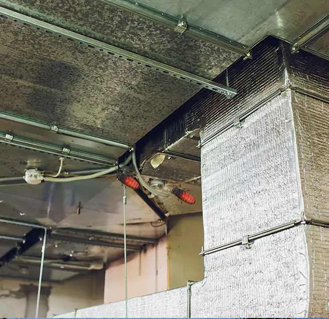 Why Homeowners & Businesses Trust Us Bellingham, WA?