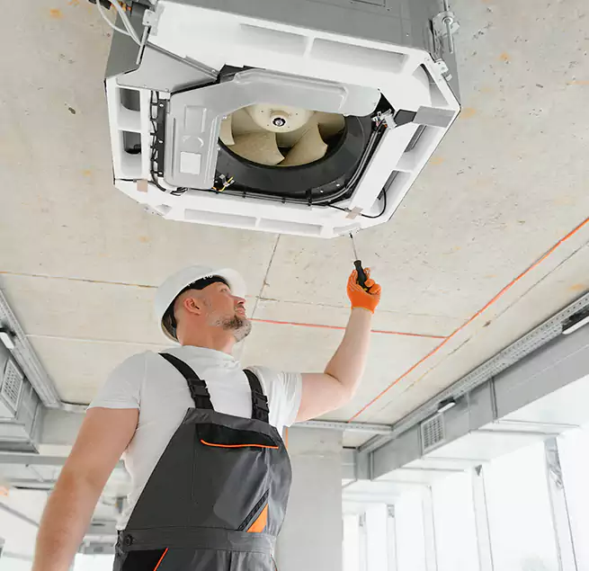 Why Homeowners Businesses Trust Us in Bellingham, WA