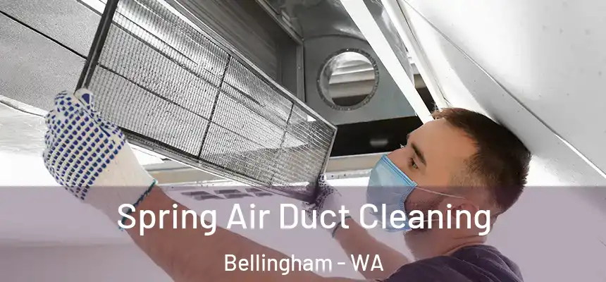 Spring Air Duct Cleaning Bellingham - WA